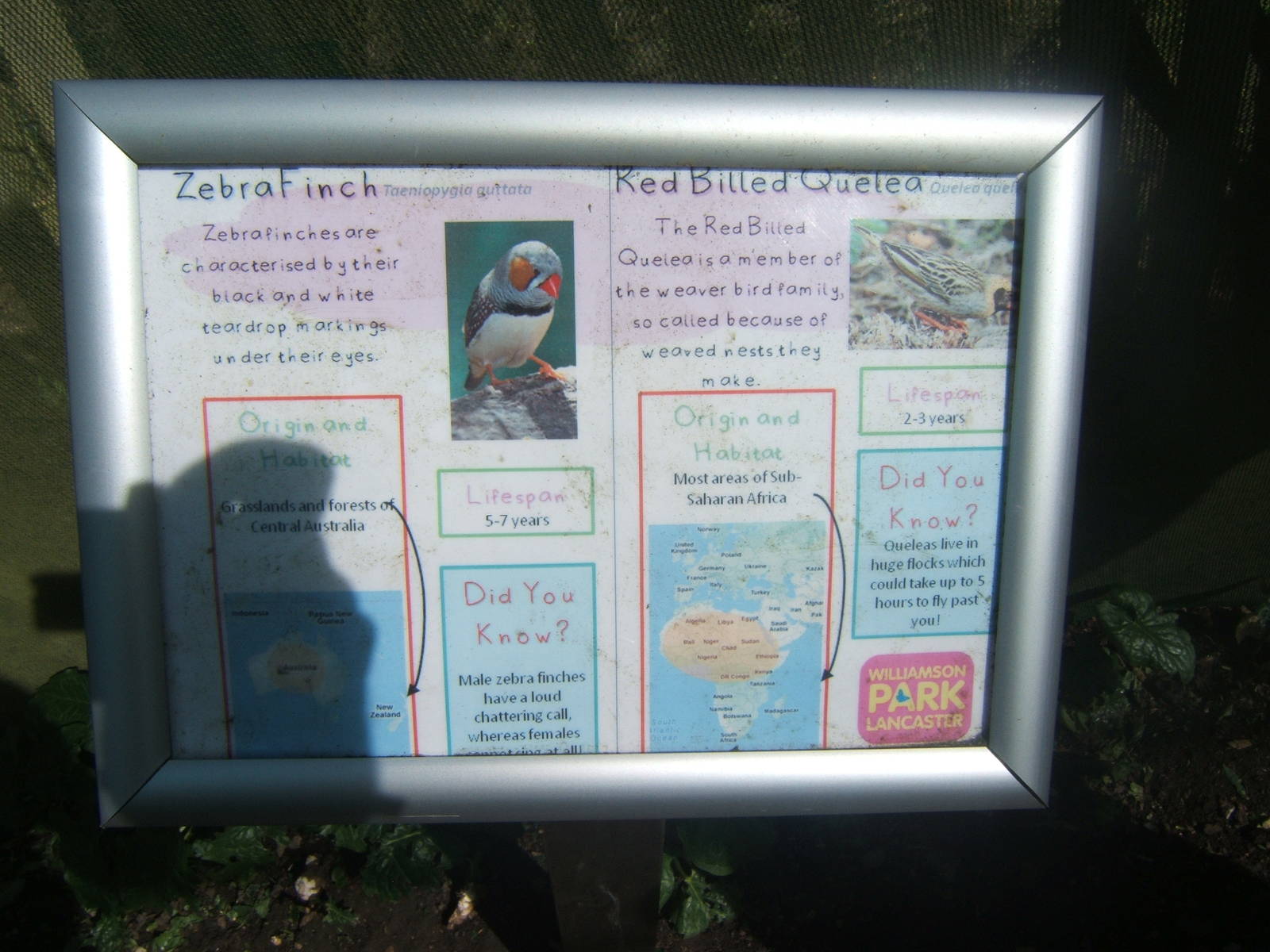 Williamson Park Butterfly House