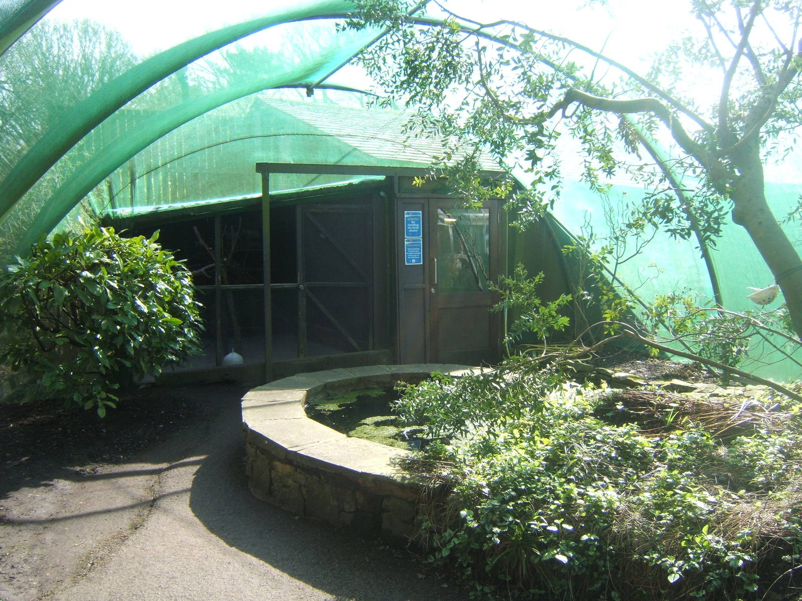 Williamson Park Butterfly House