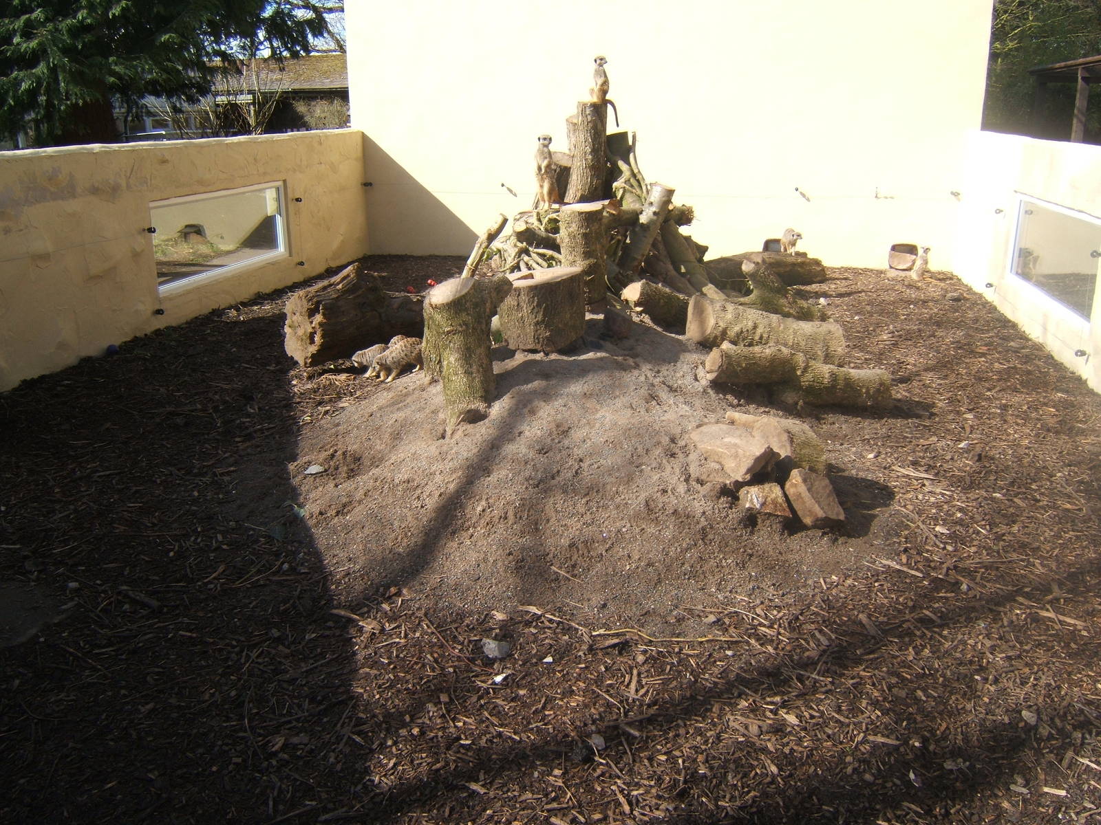 Williamson Park Butterfly House