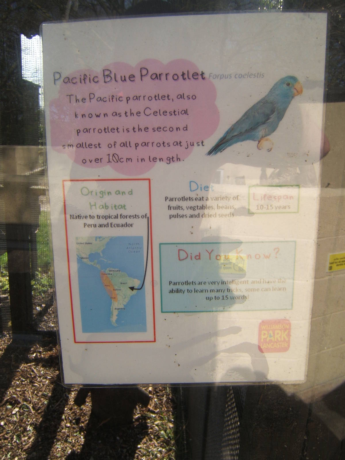 Williamson Park Butterfly House