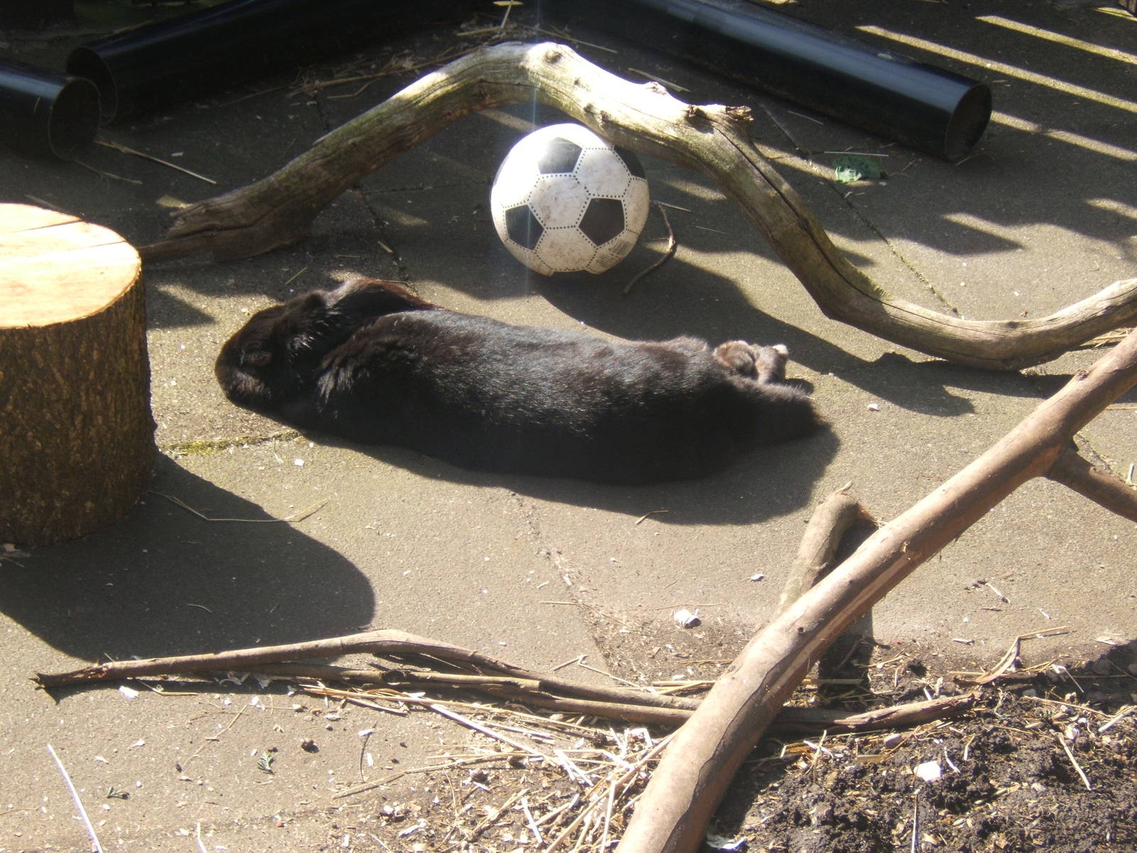 Williamson Park Butterfly House