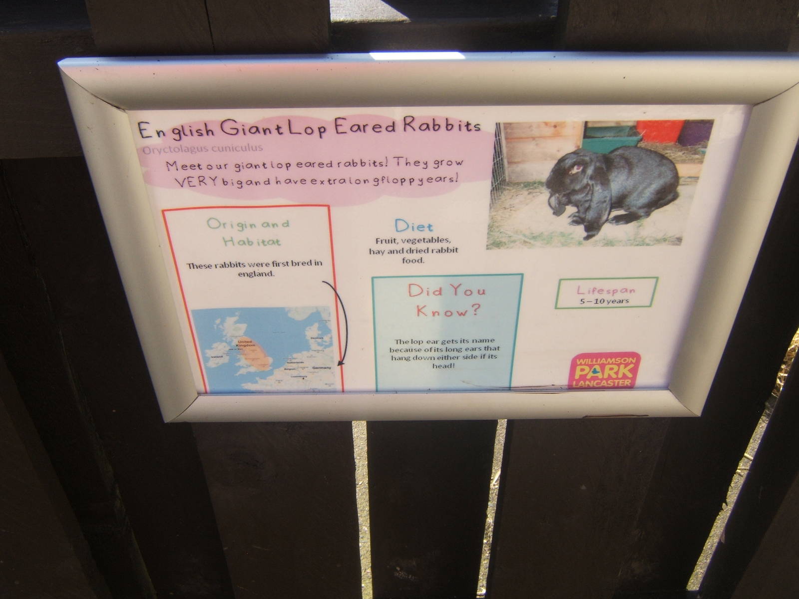 Williamson Park Butterfly House