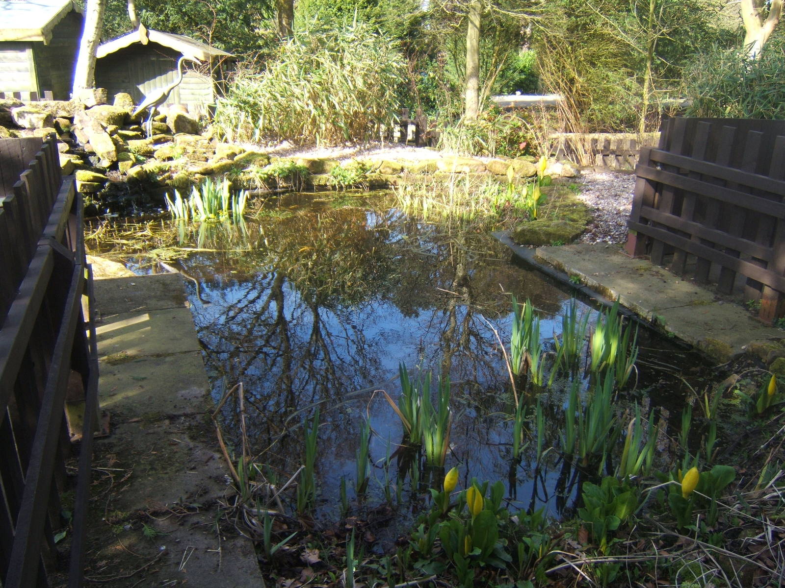 Williamson Park Butterfly House