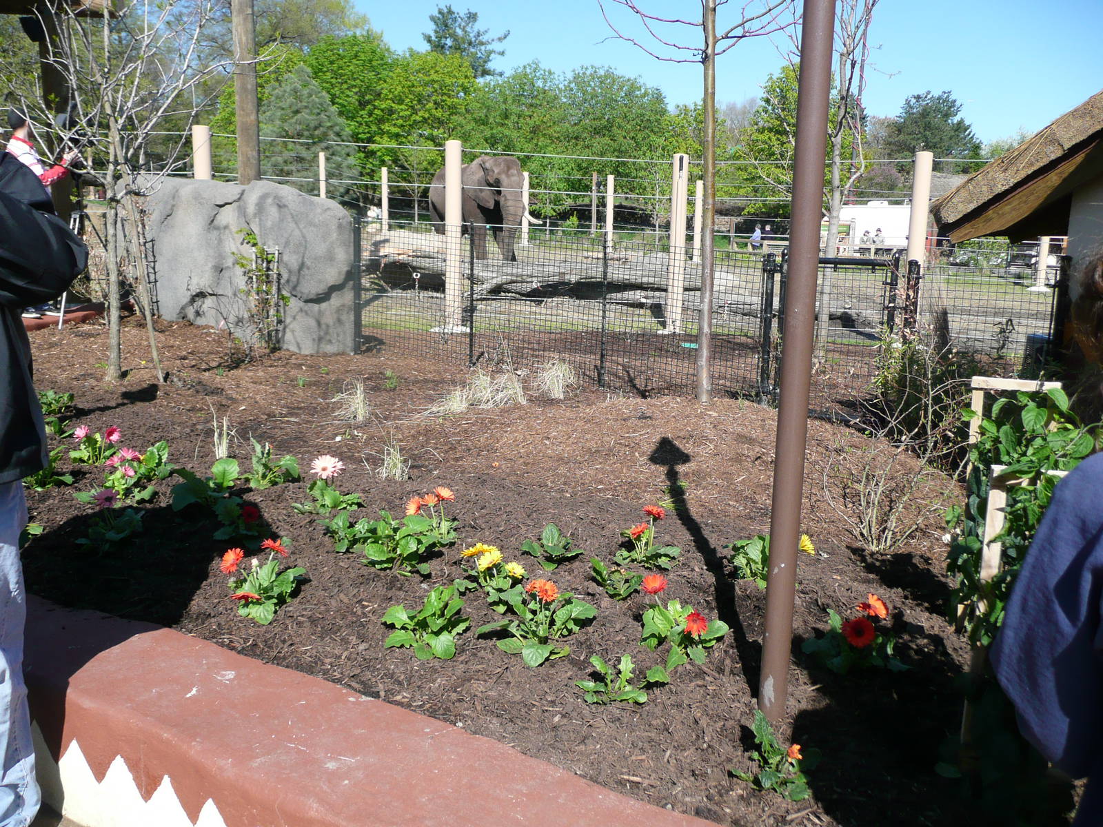 Willie's yard...the right side yard.