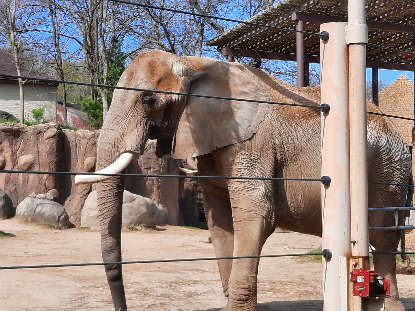 Willy striking a pose