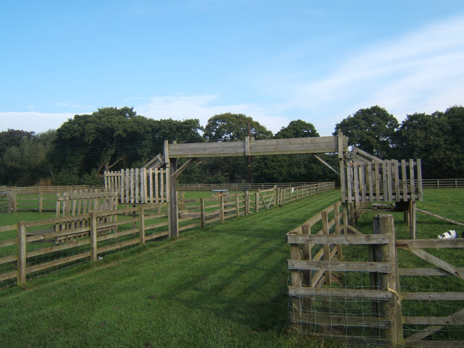 Windmill Animal Farm