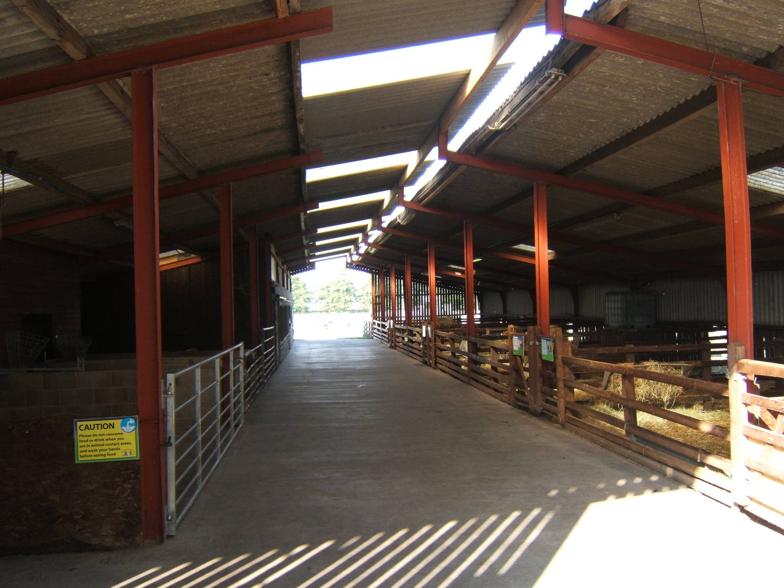 Windmill Animal Farm