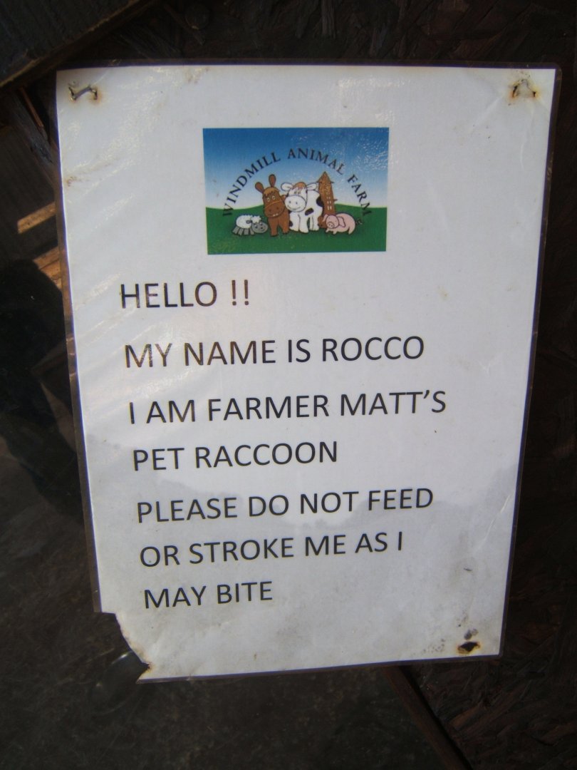 Windmill Animal Farm