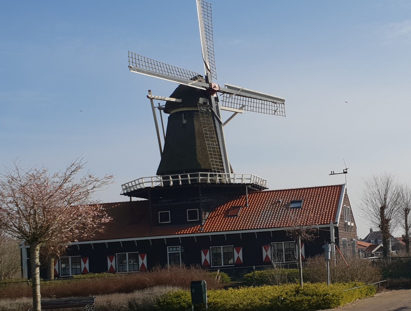 Windmill in the Park
