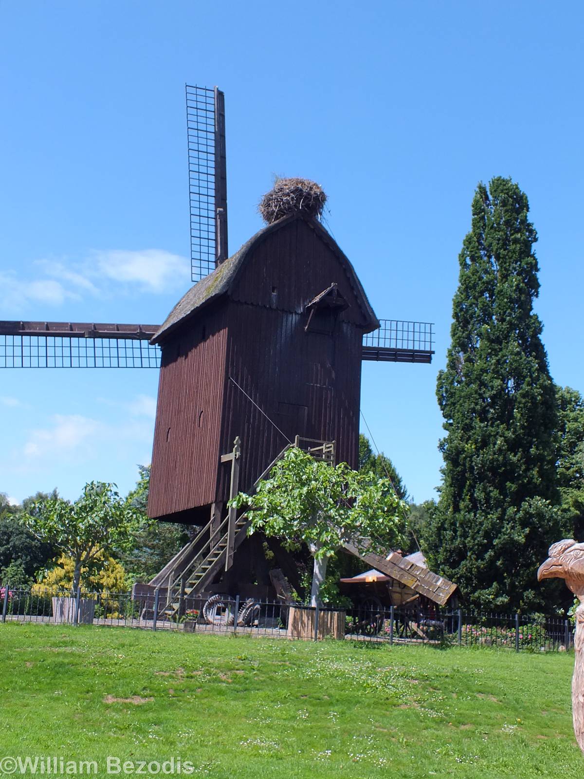 Windmill with Wild Stork Nest on top