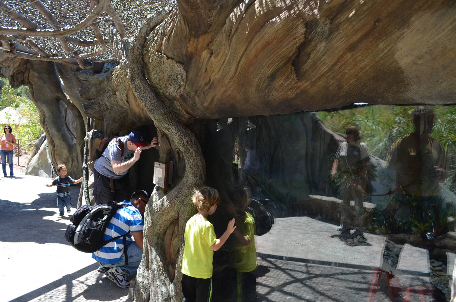 Window Glare Of Exhibits