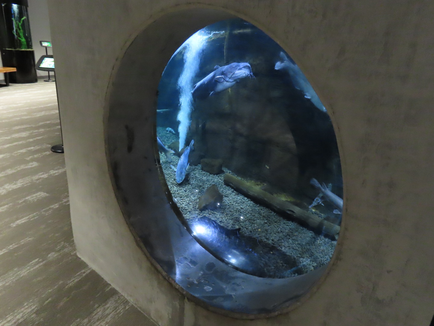 Window into Large River Tank