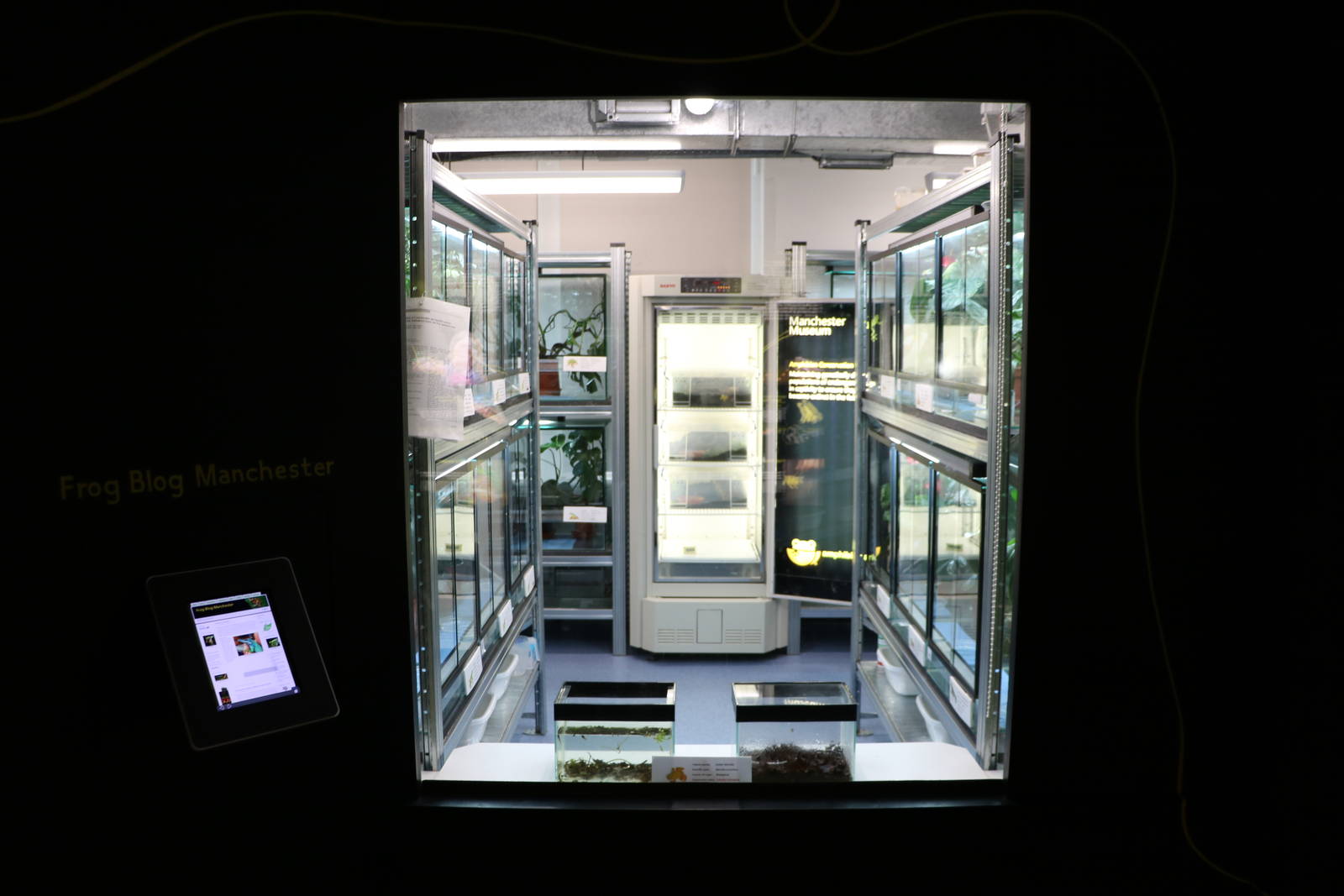 Window into the breeding area, September 2015