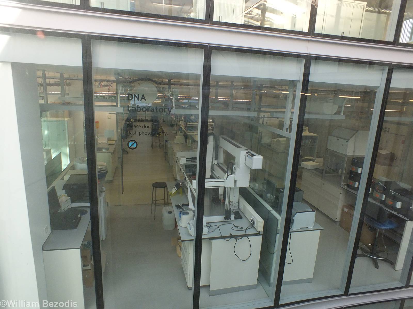 Window into the DNA Laboratory - NHM London
