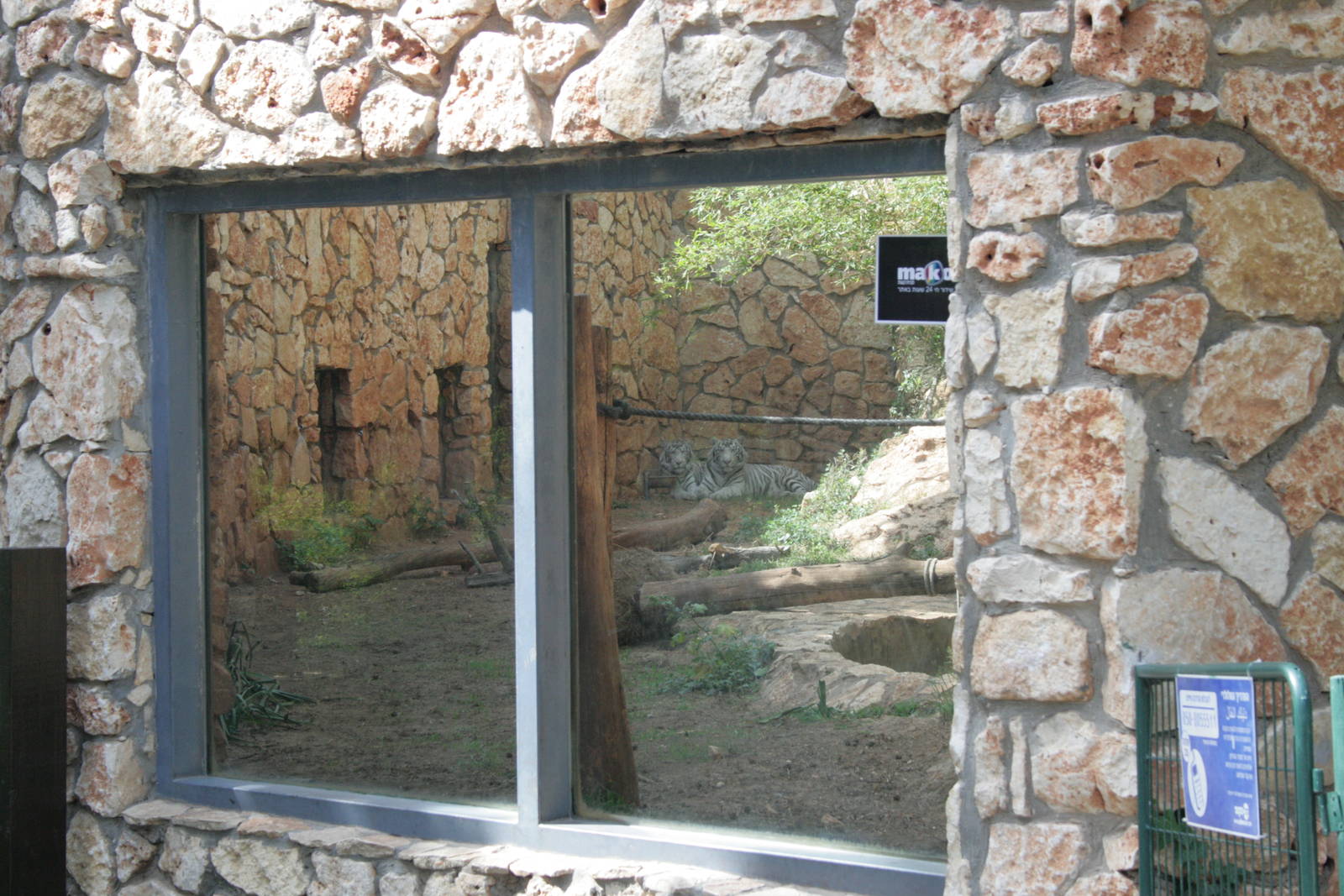 window of the tigers