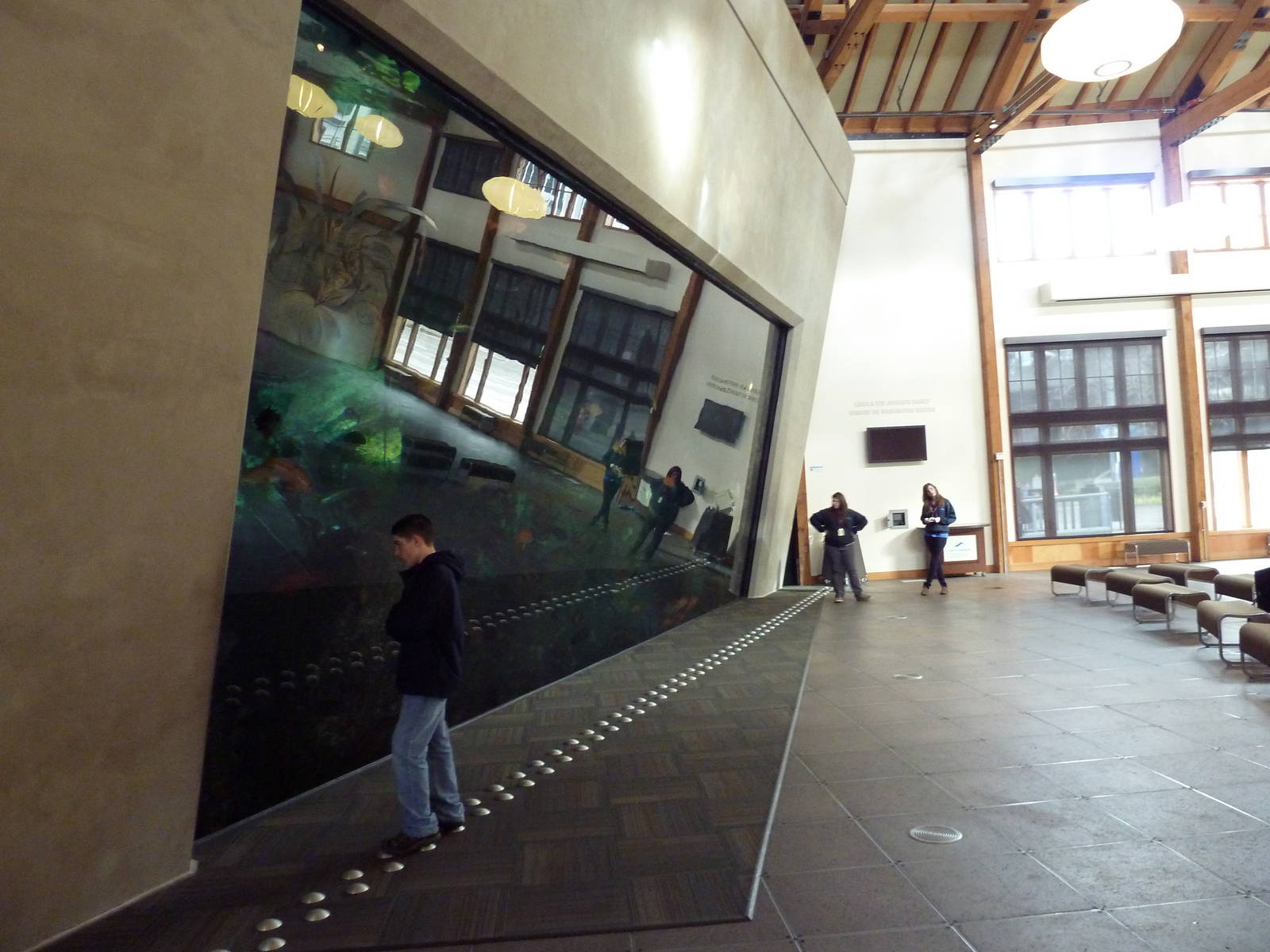 Window On Washington Waters - 120,000 Gallon Tank