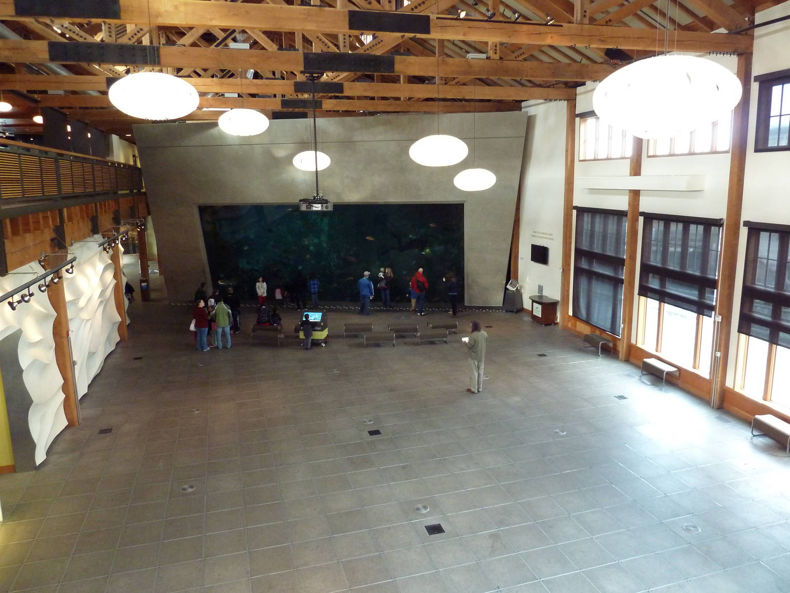 Window On Washington Waters - 120,000 Gallon Tank