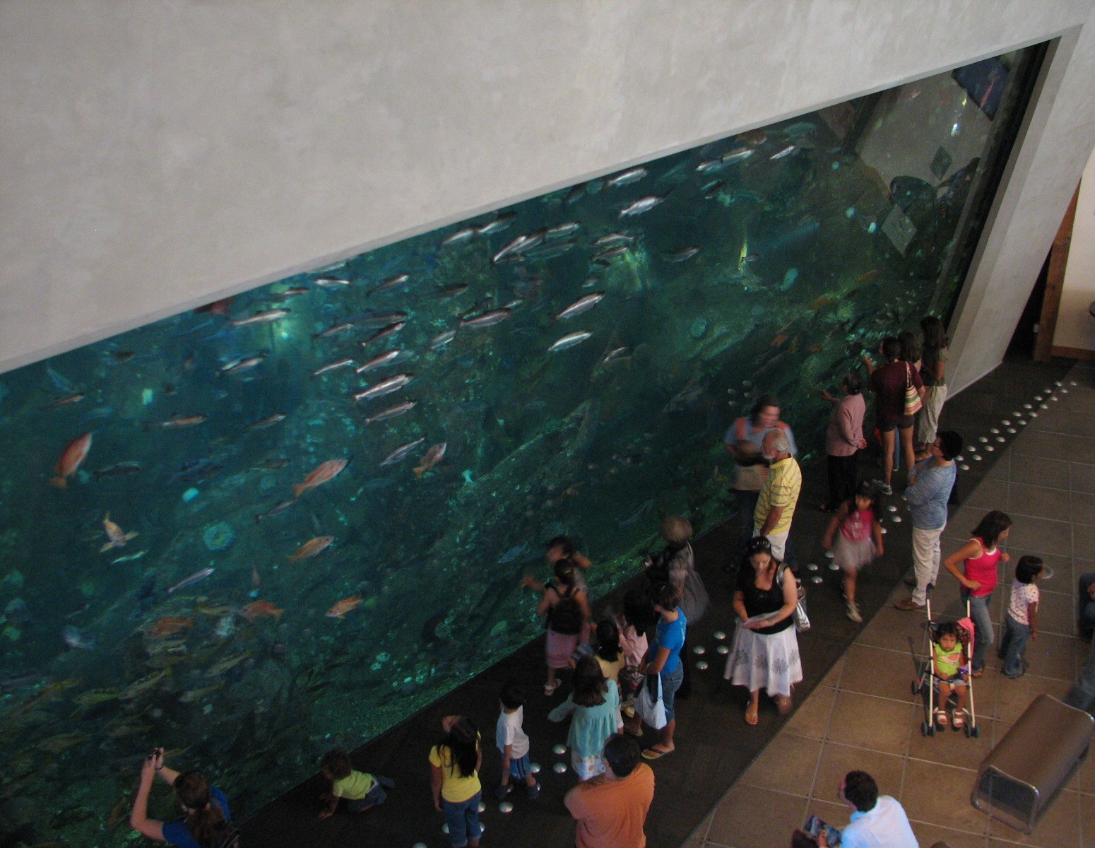 Window On Washington Waters Exhibit
