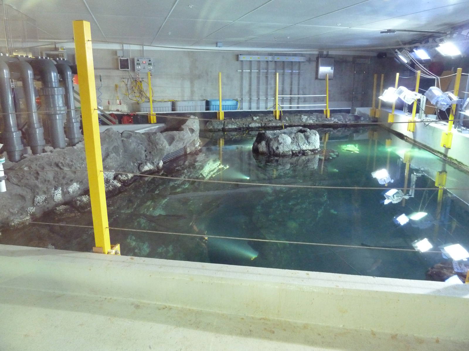 Window On Washington Waters - Overhead Photo