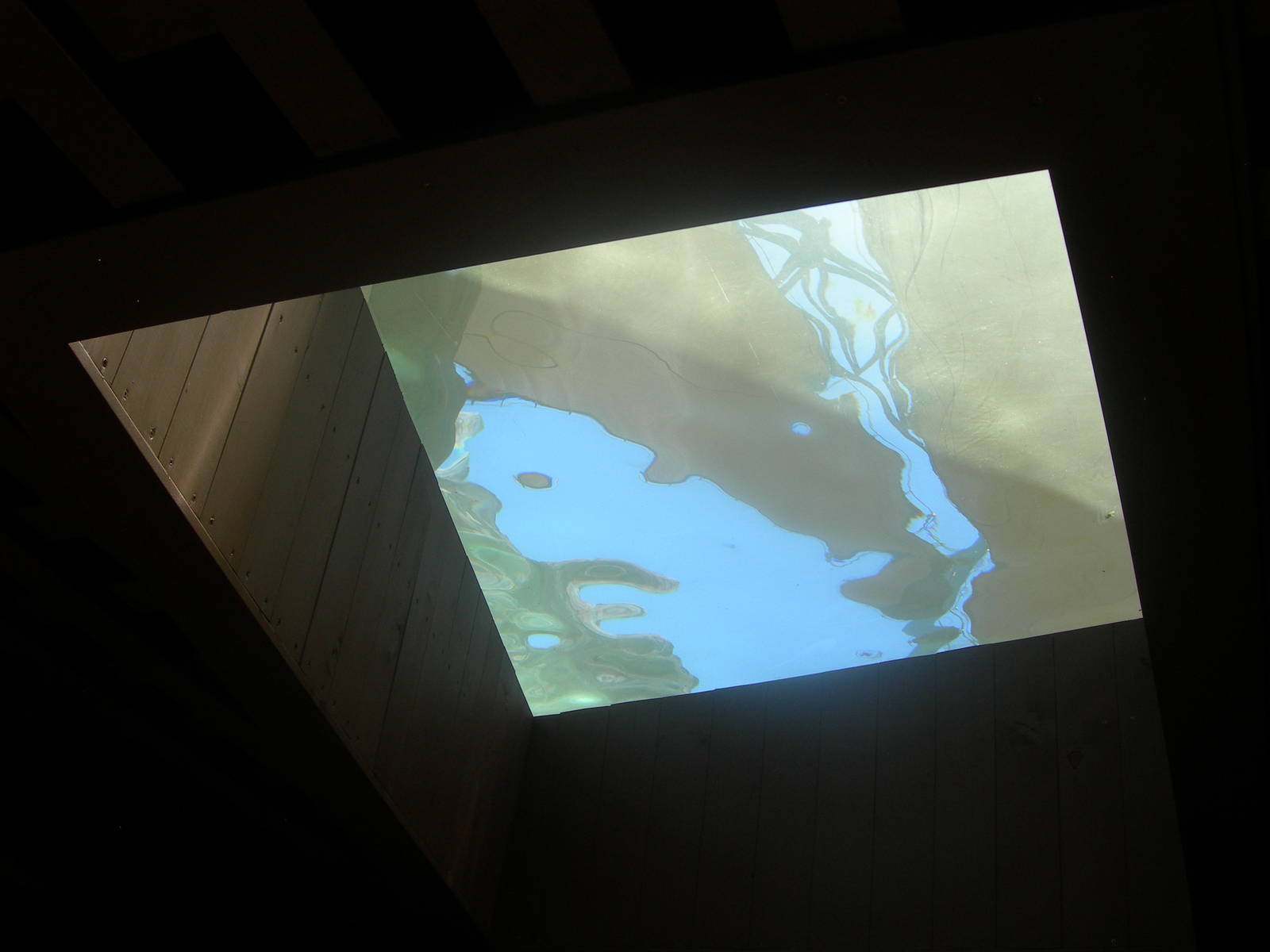 window to look up at touch tank in aqaurium