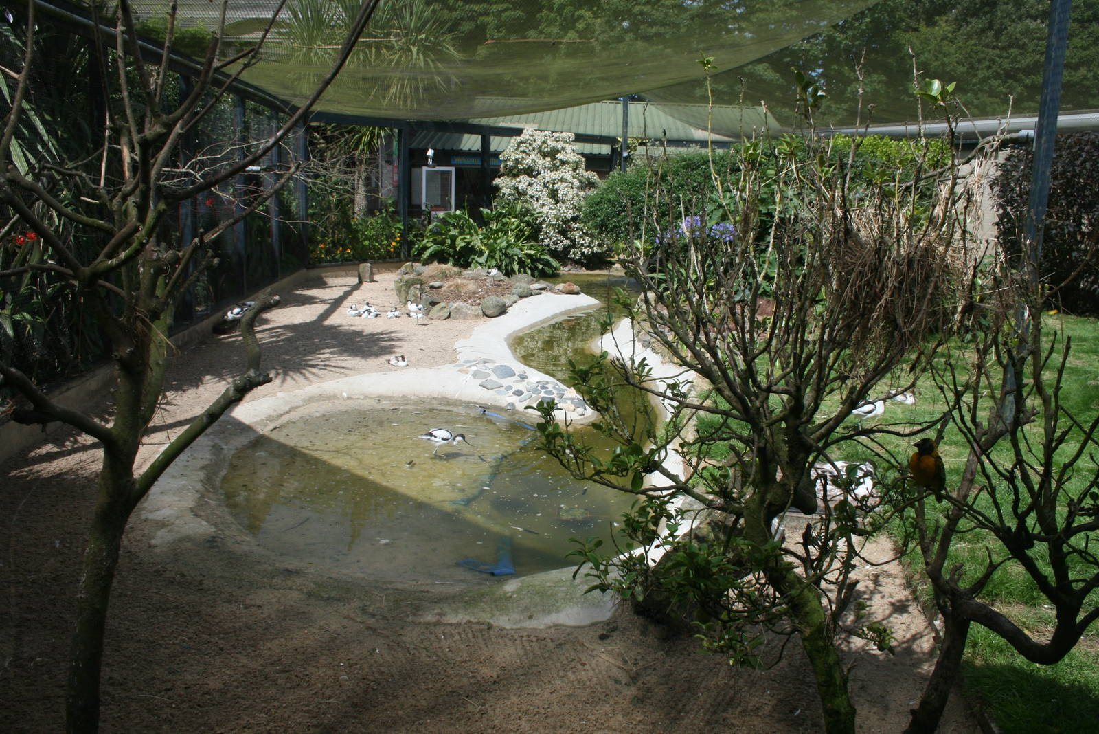 Window View Of Entrance Aviary