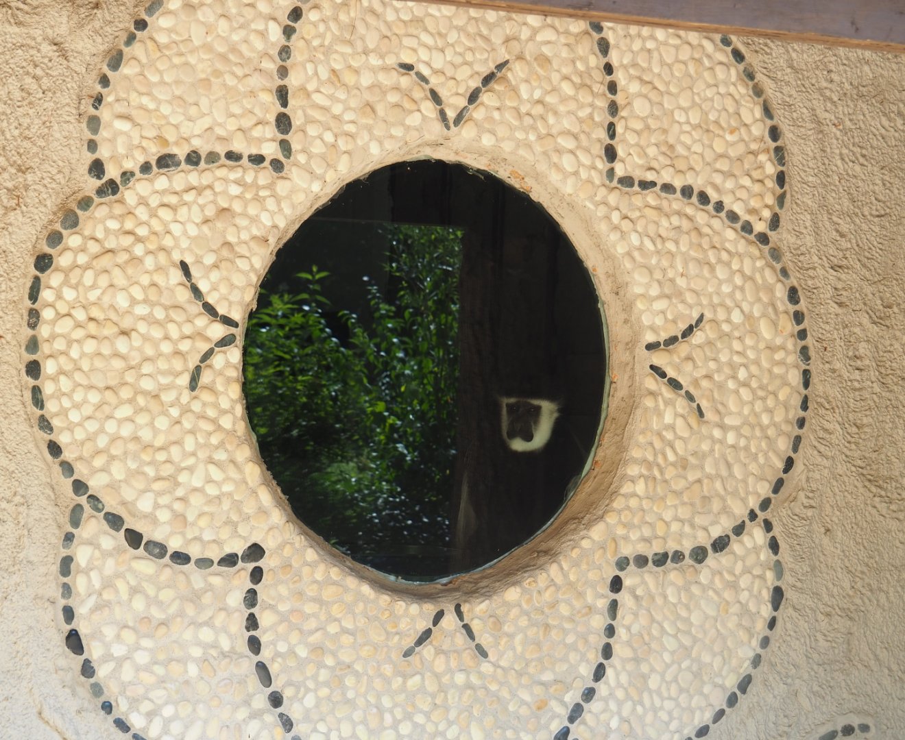 Window with stone mosaic and mantled colobus, 2019-08-04