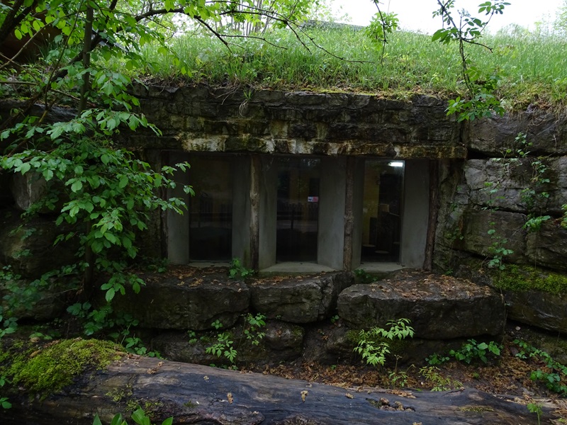 Windows into rhino stables