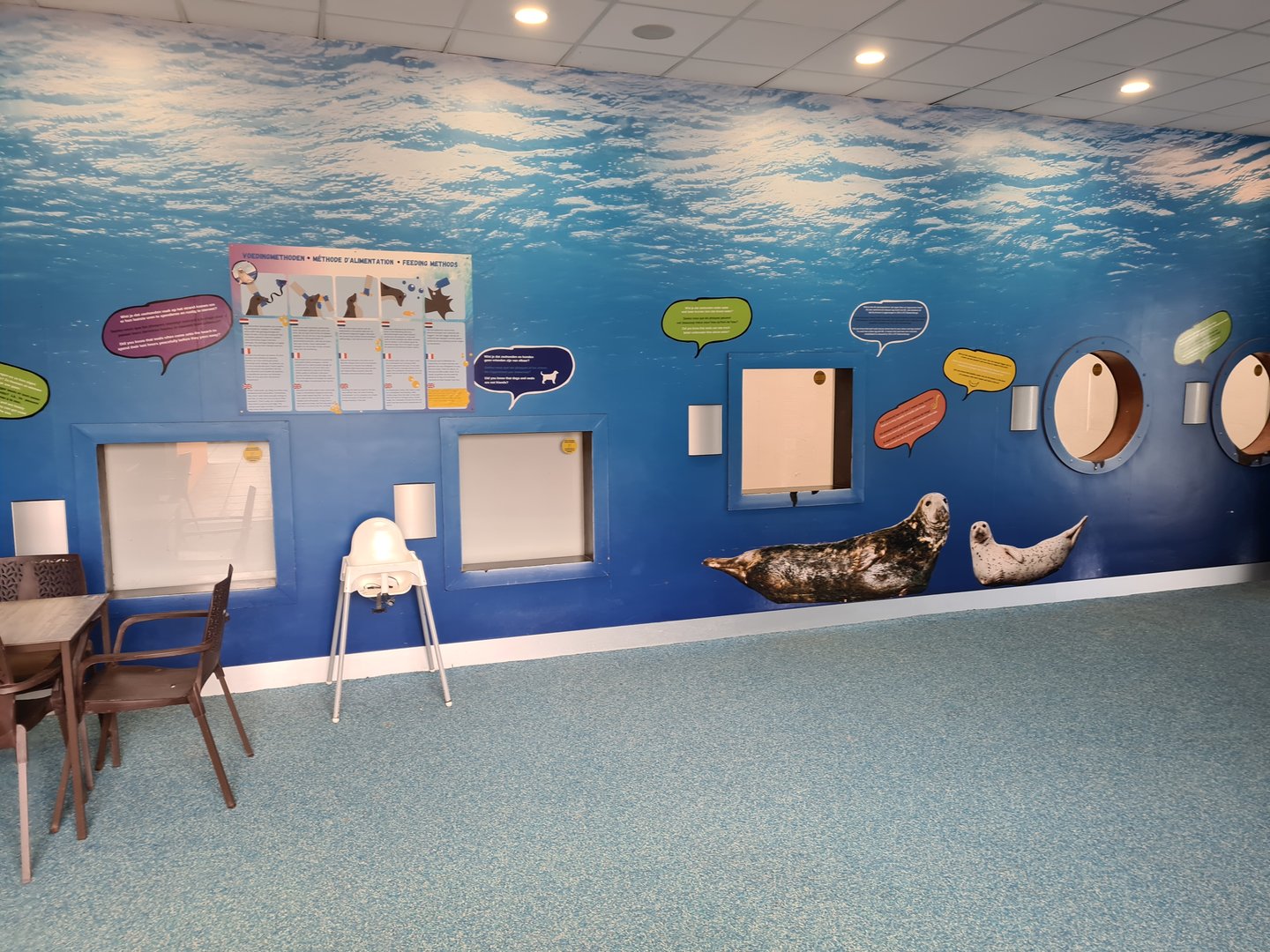 Windows into seal rescue enclosures