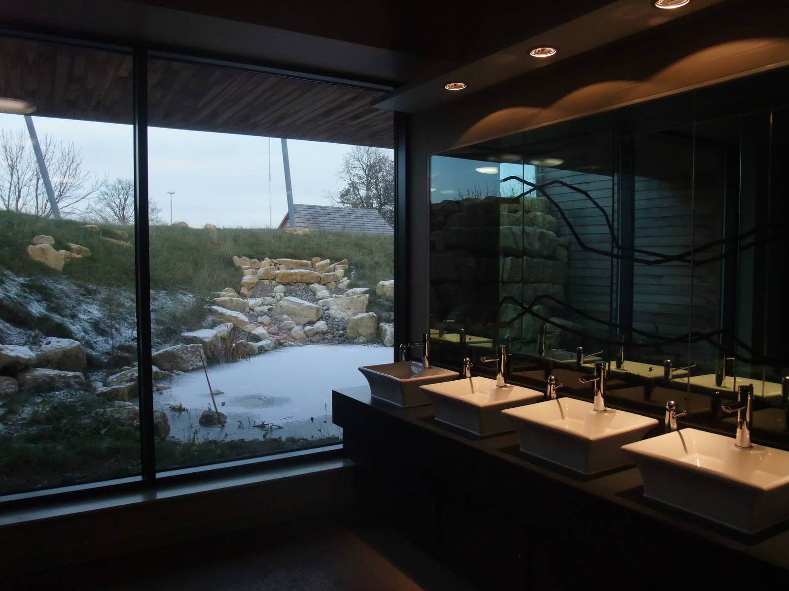 Windows on the Wild Viewing at Twycross, 28/11/10