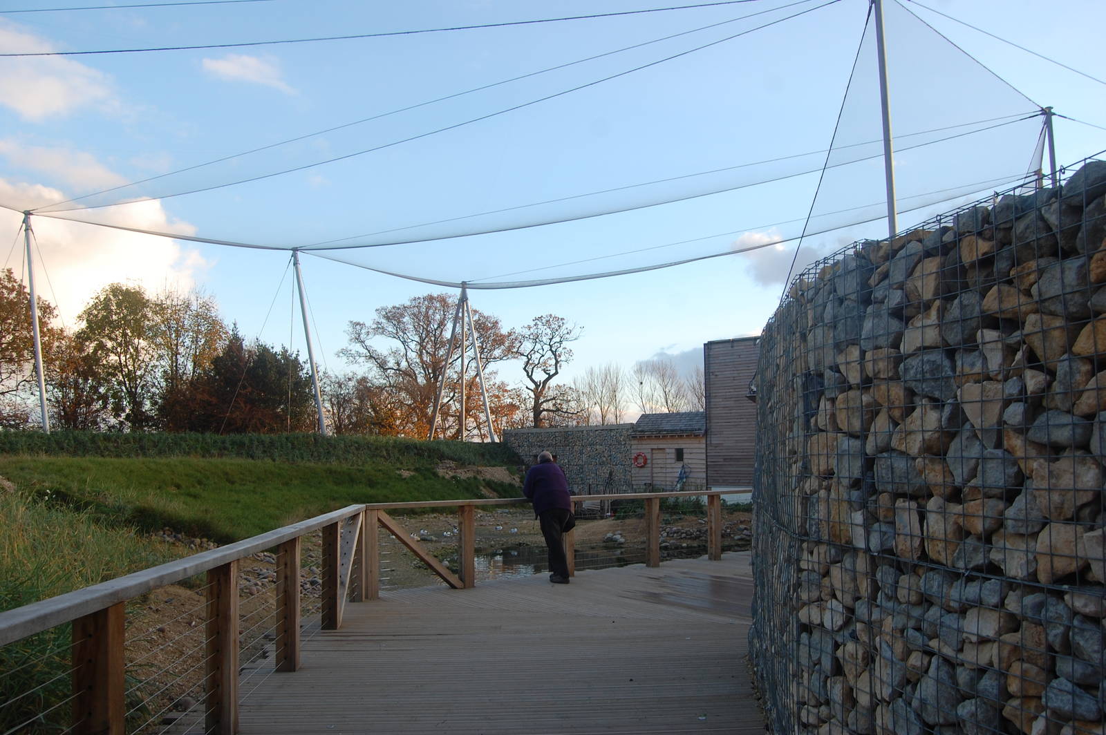 Windows onto the Wild Aviary