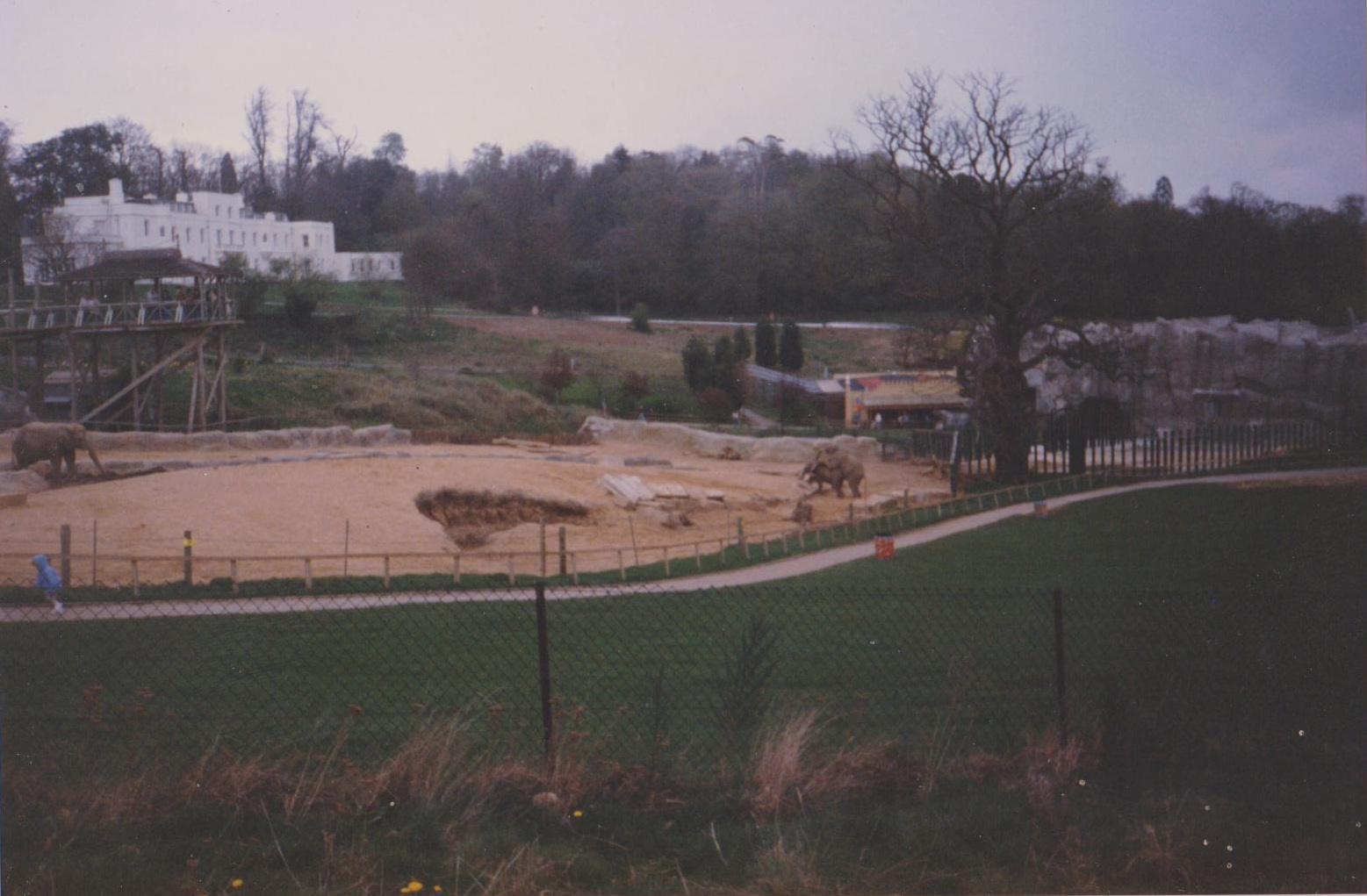 Windsor elephant enclosure c.1992