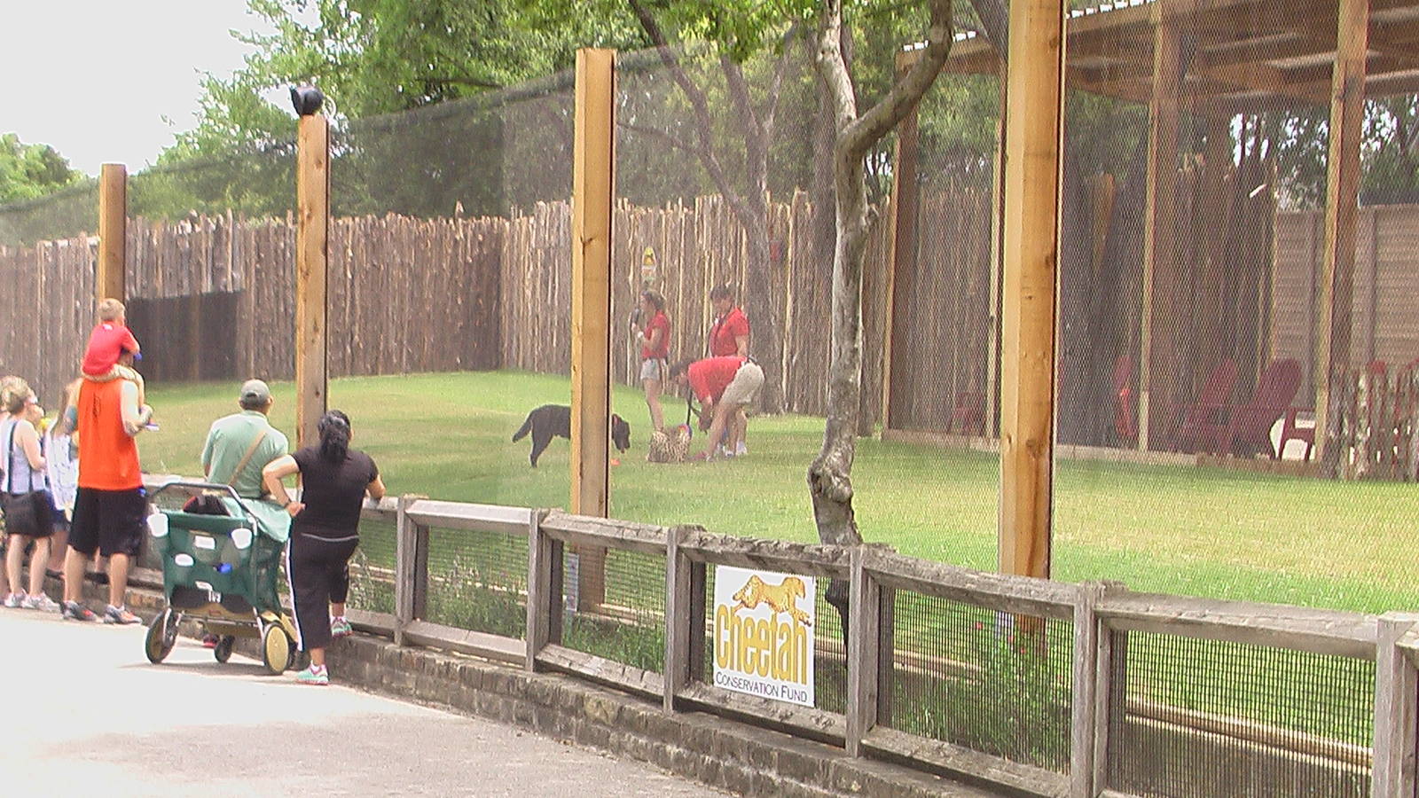 Windspear and her Canine Companion