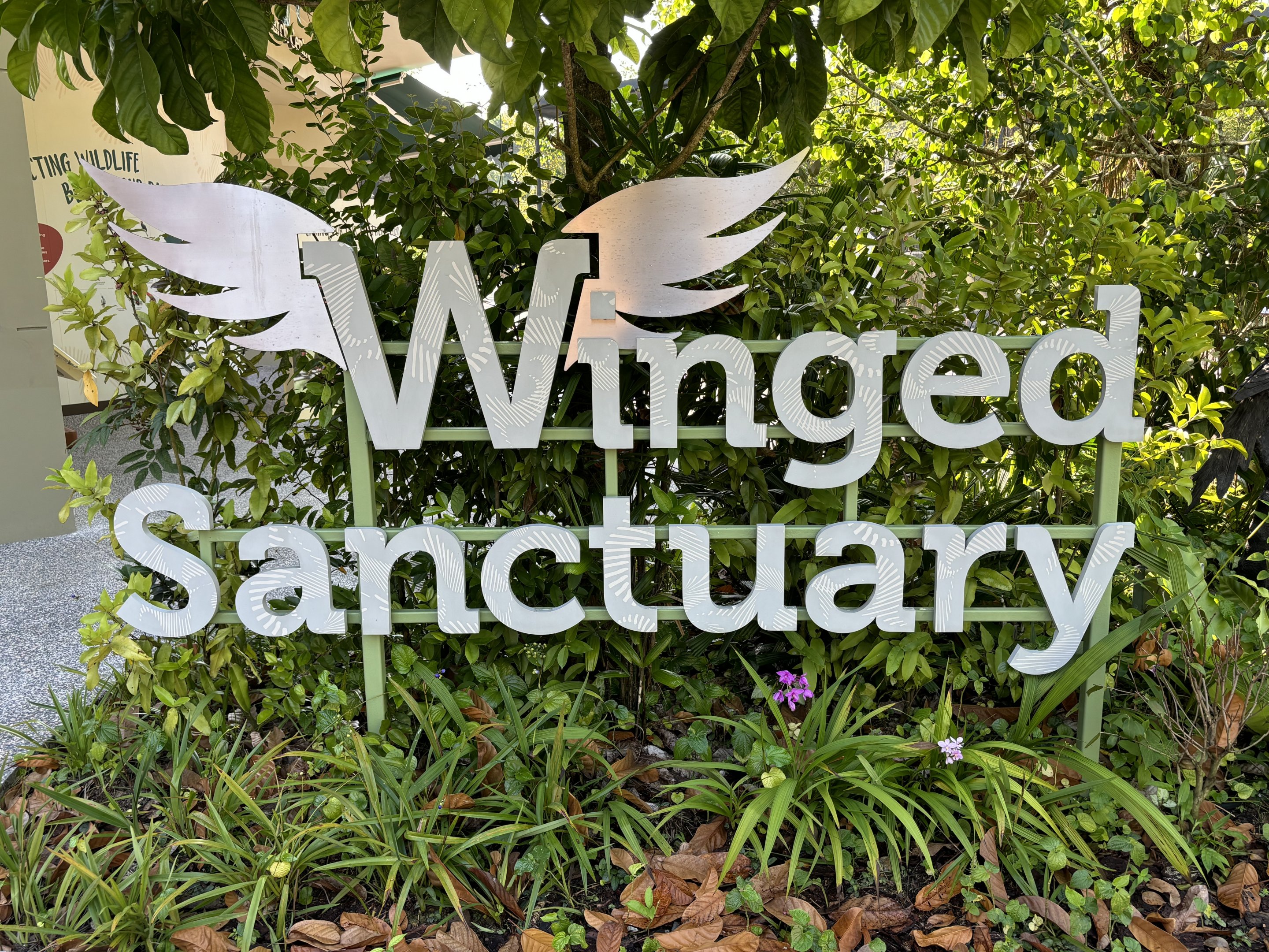 Winged Sanctuary - 40+ aviaries