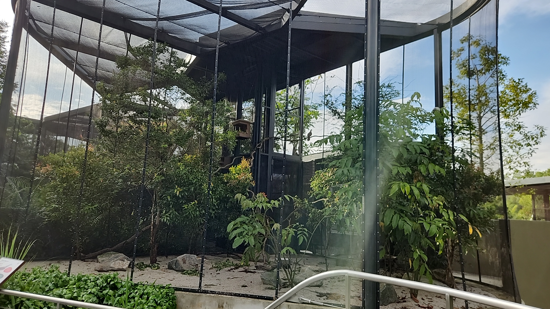 Winged Sanctuary- Mauritius Pink Piegon