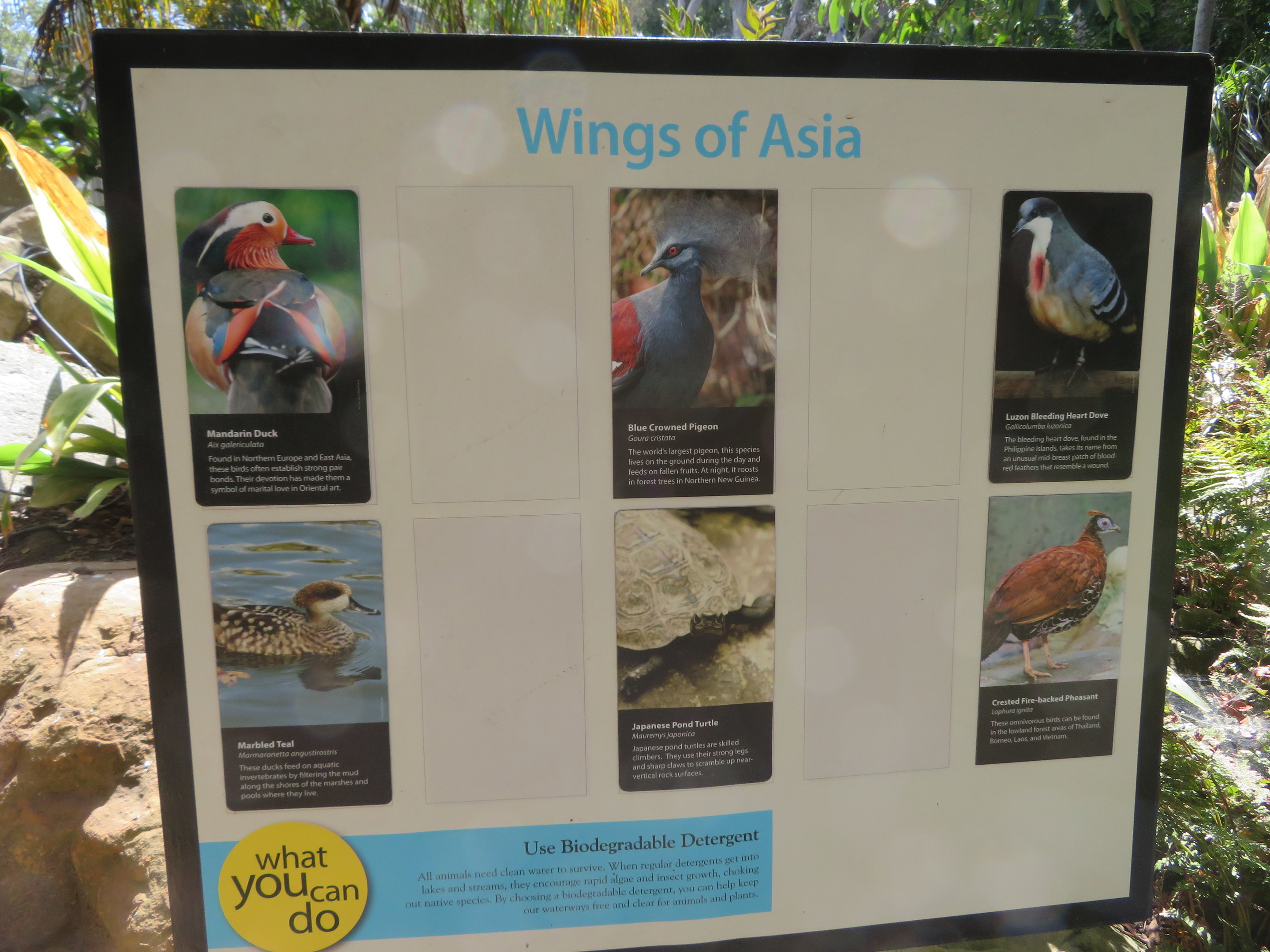 Wings of Asia Aviary Signage