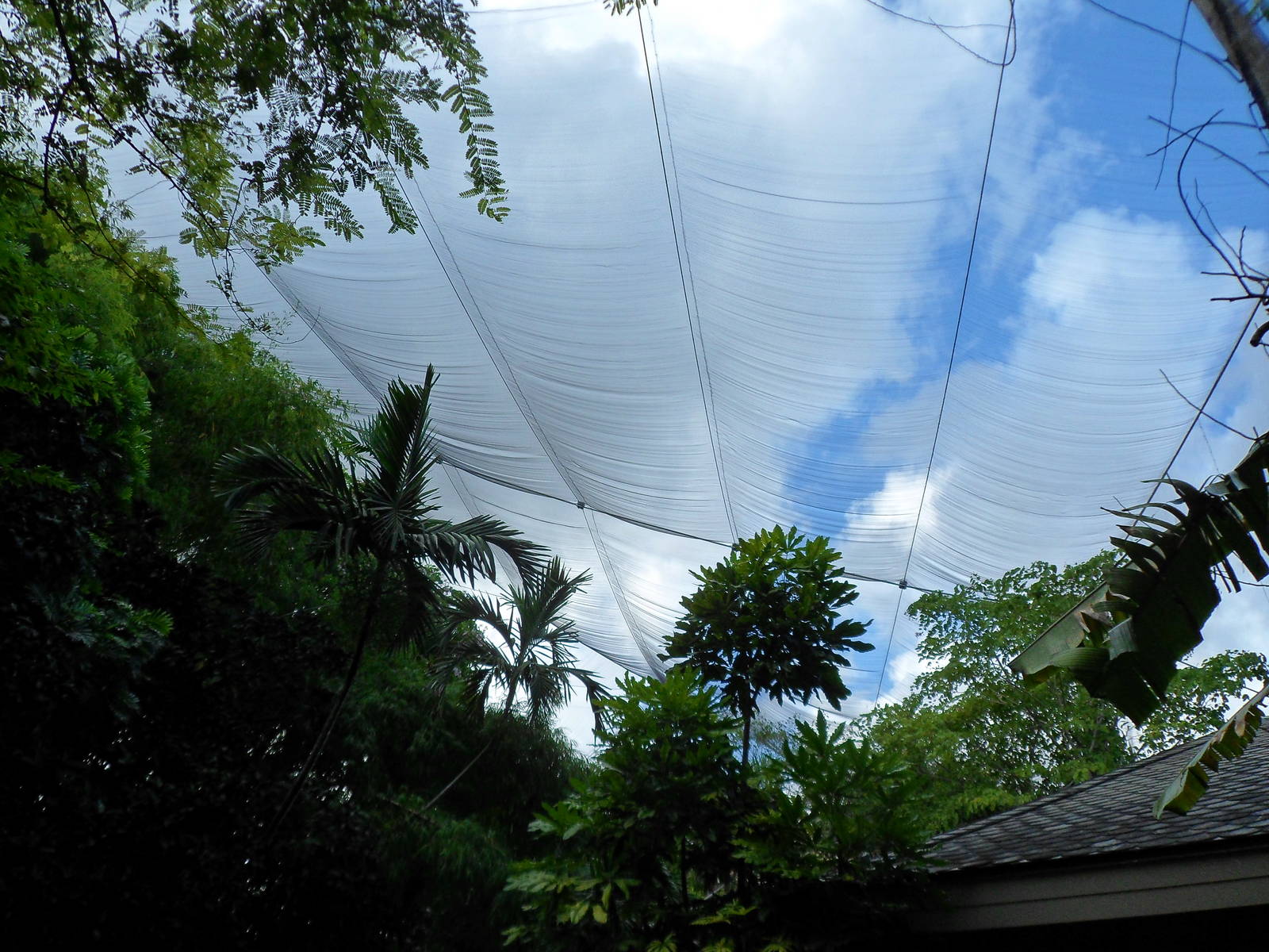 Wings of Asia Aviary