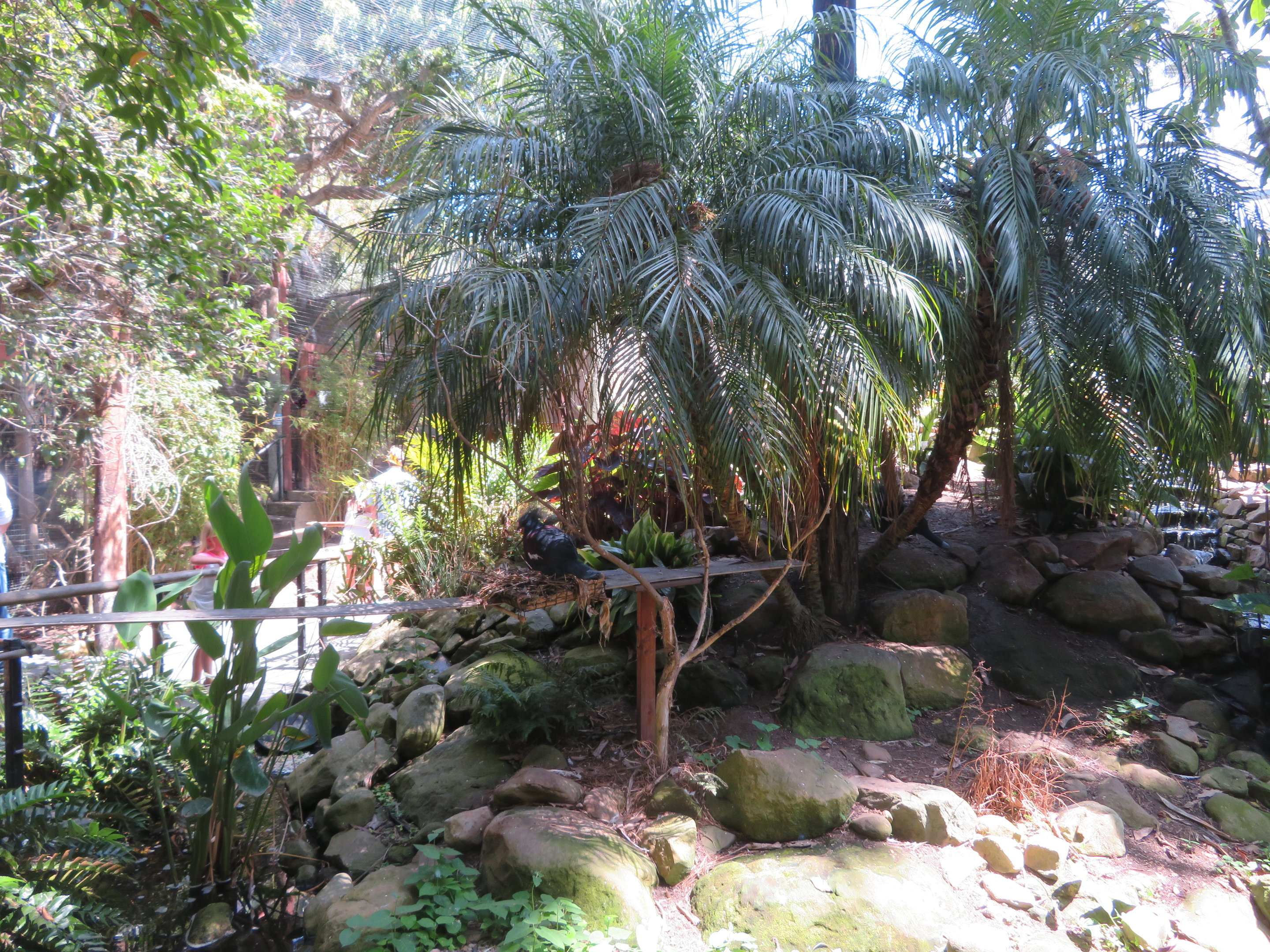 Wings of Asia Aviary