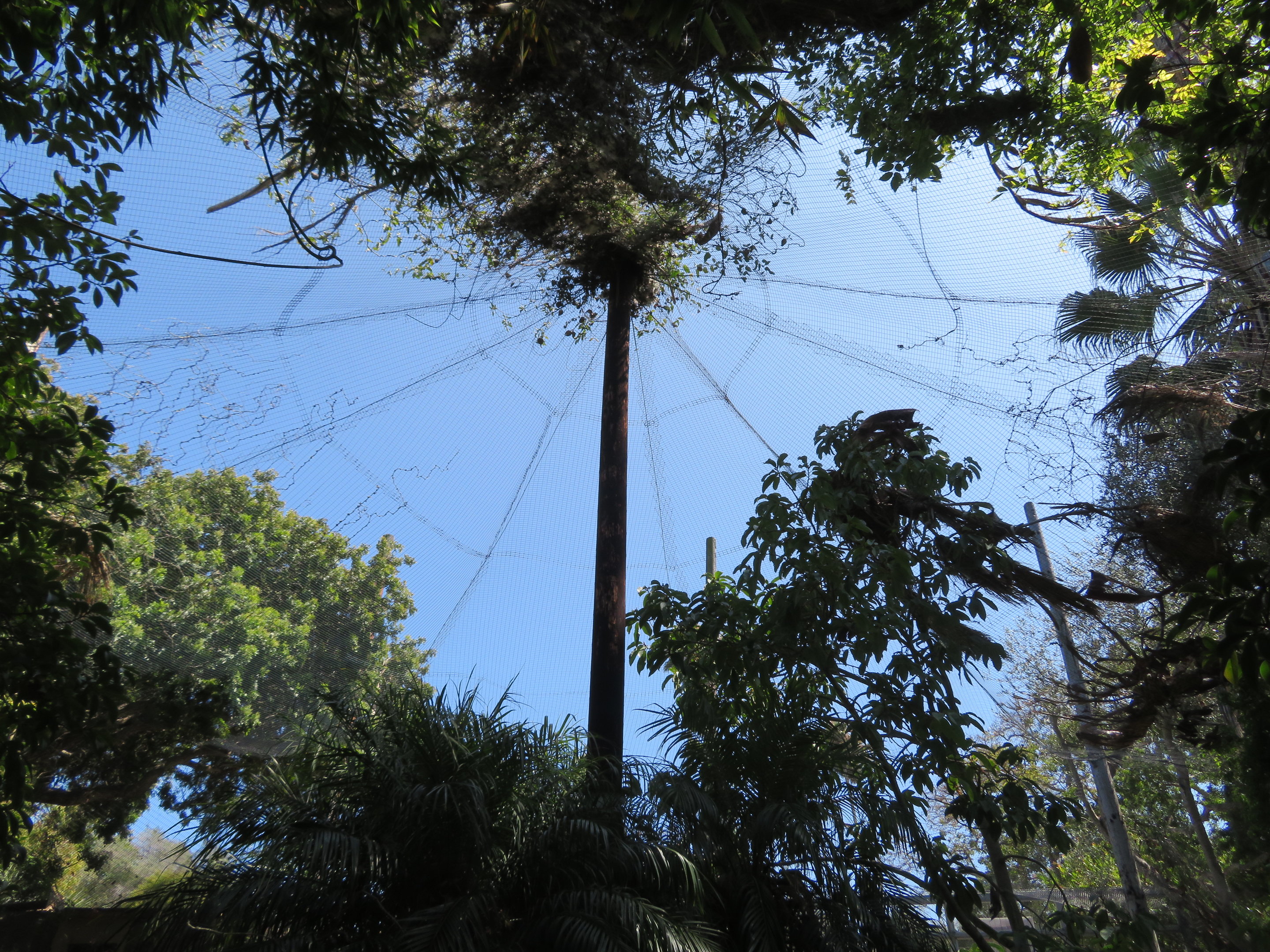 Wings of Asia Aviary