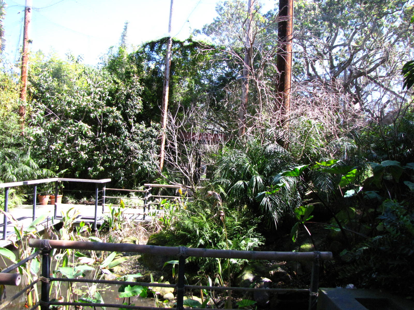 Wings of Asia Aviary