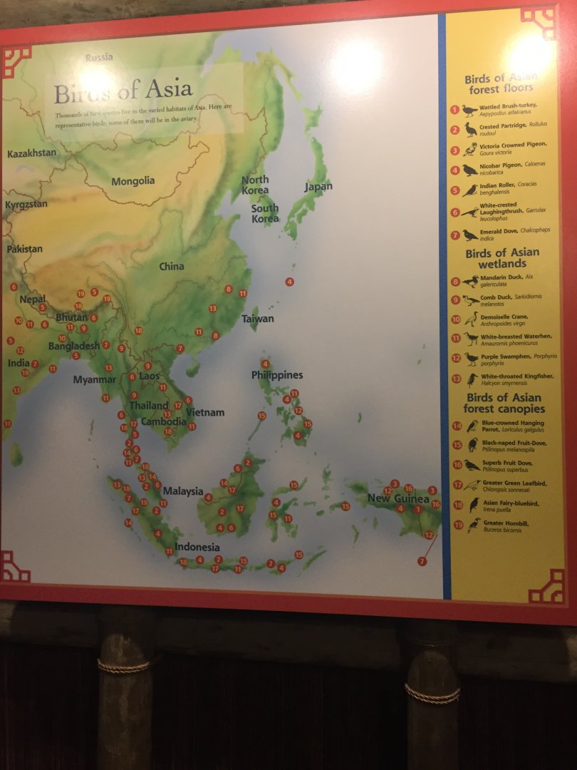 Wings of Asia Map