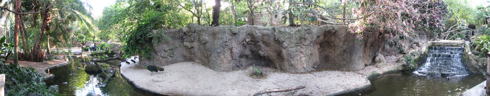 Wings of Asia Panorama 1