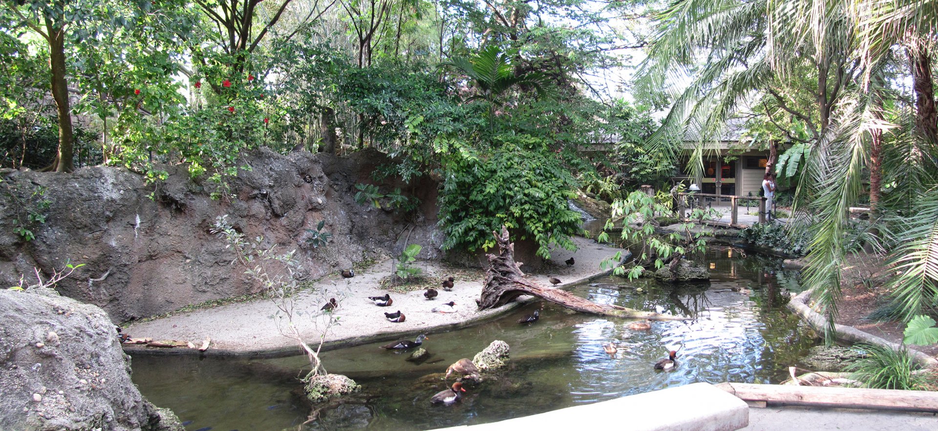 Wings Of Asia Panorama 2