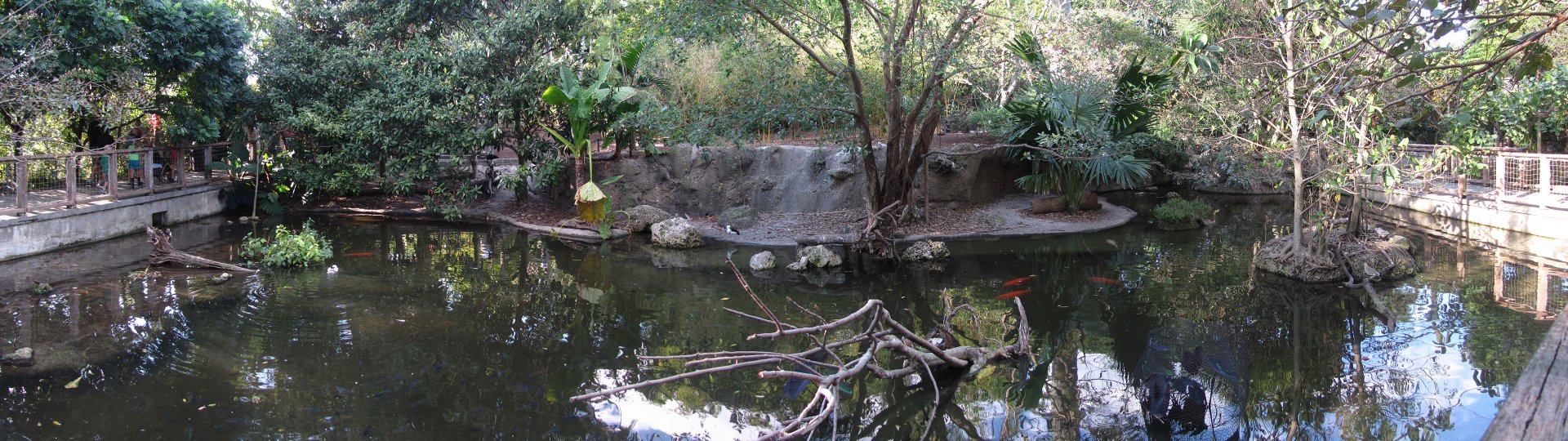 Wings Of Asia Panorama 4