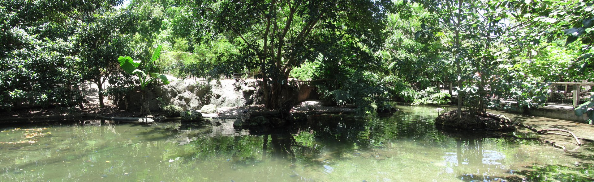 Wings Of Asia Panorama 5