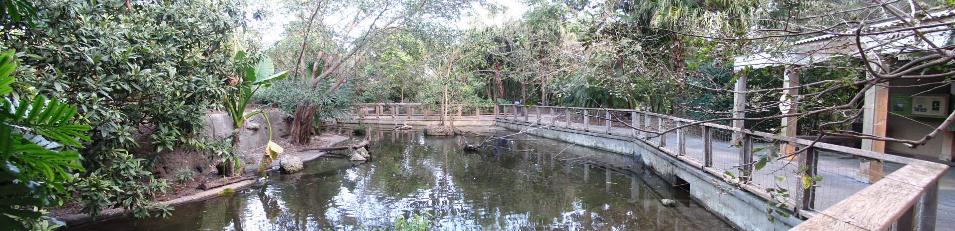 Wings Of Asia Panorama 6