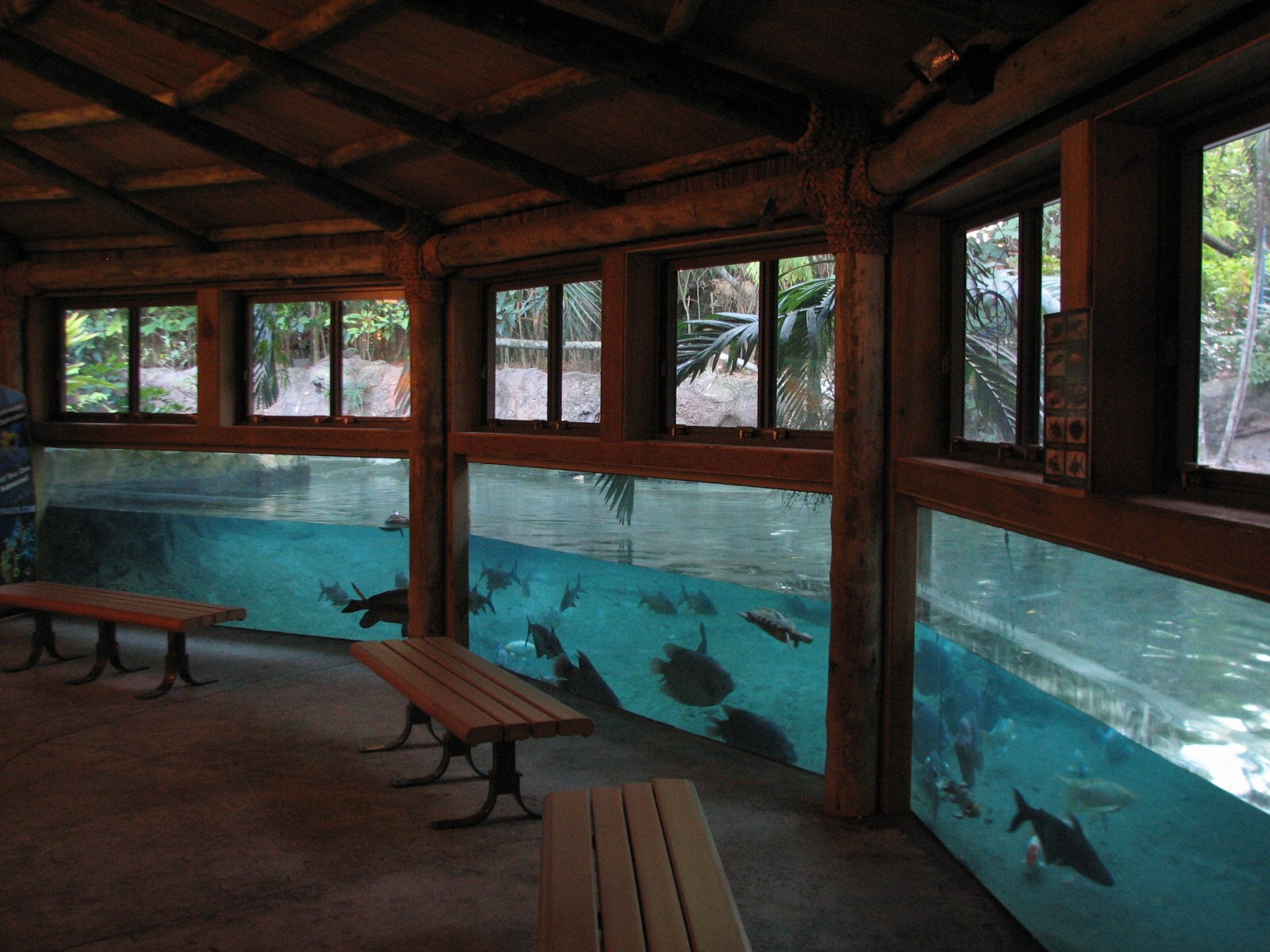 Wings of Asia - Pond Viewing Area