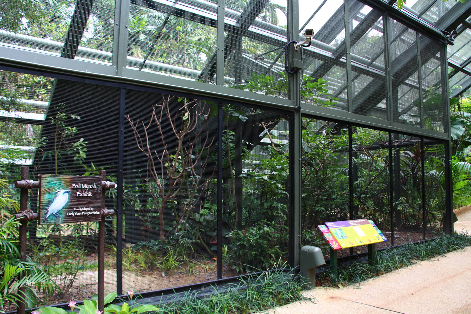 Wings of Asia - Side Aviary