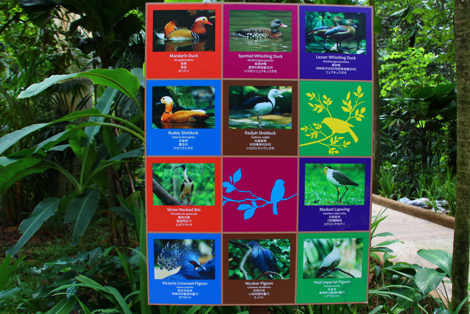 Wings of Asia - Signage