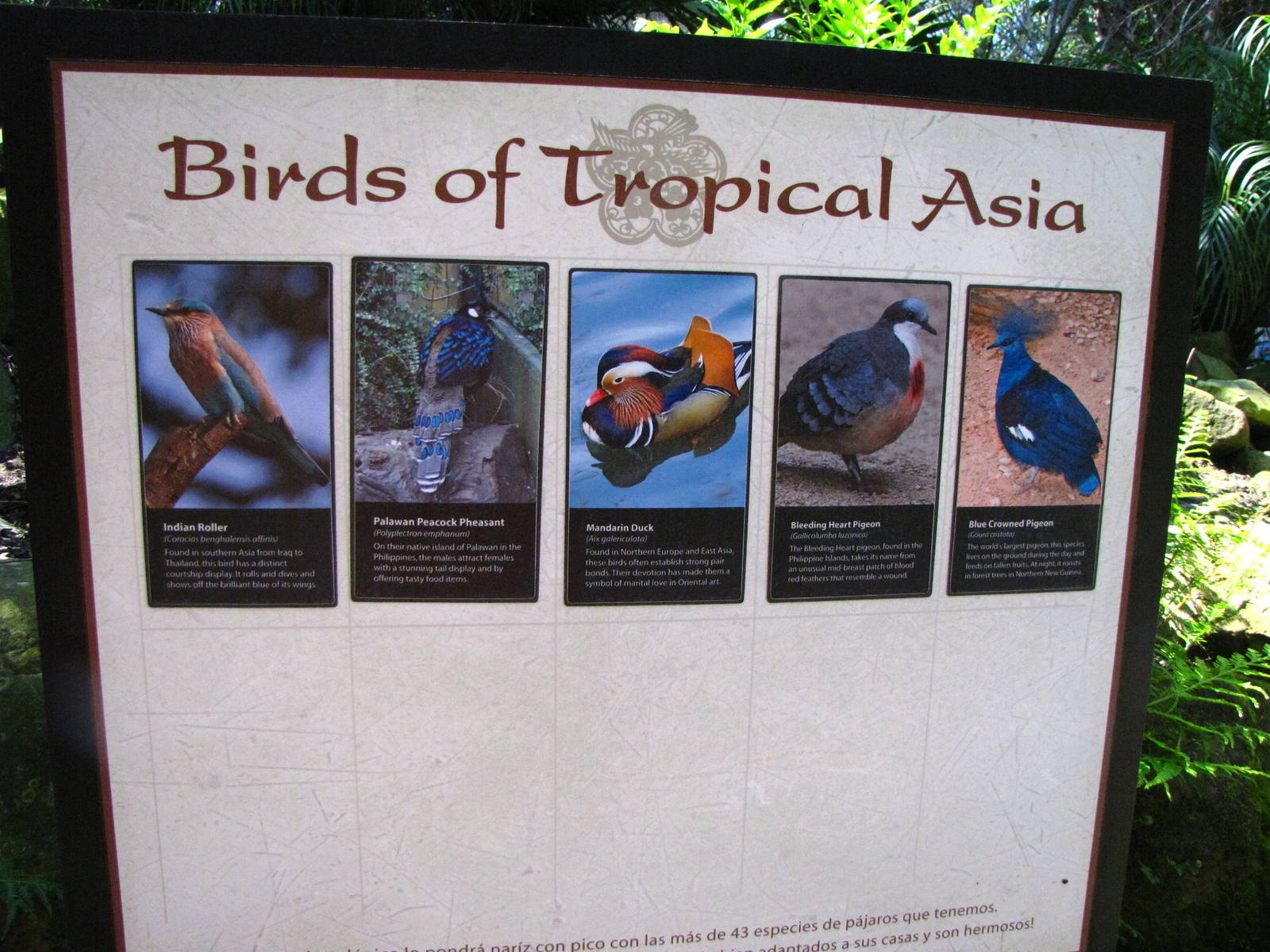 Wings of Asia Signage