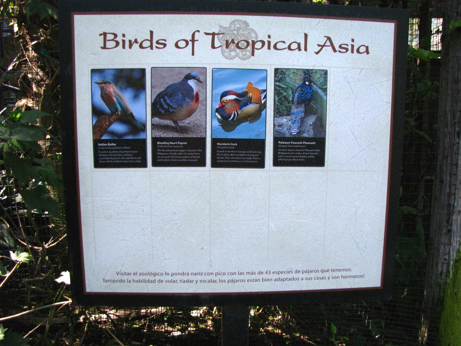 Wings of Asia Signage